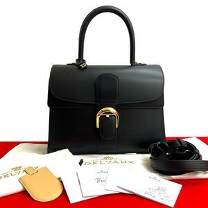Delvaux Brillant Leather 2way Bag